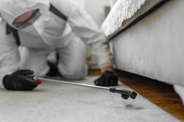 Professional Termite Control technician working in Masonville, KY