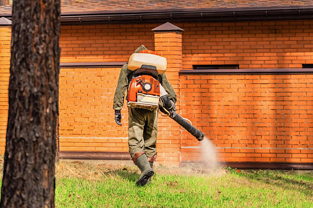 Trusted Rodent Control service in Masonville, KY - Nex Pest Control